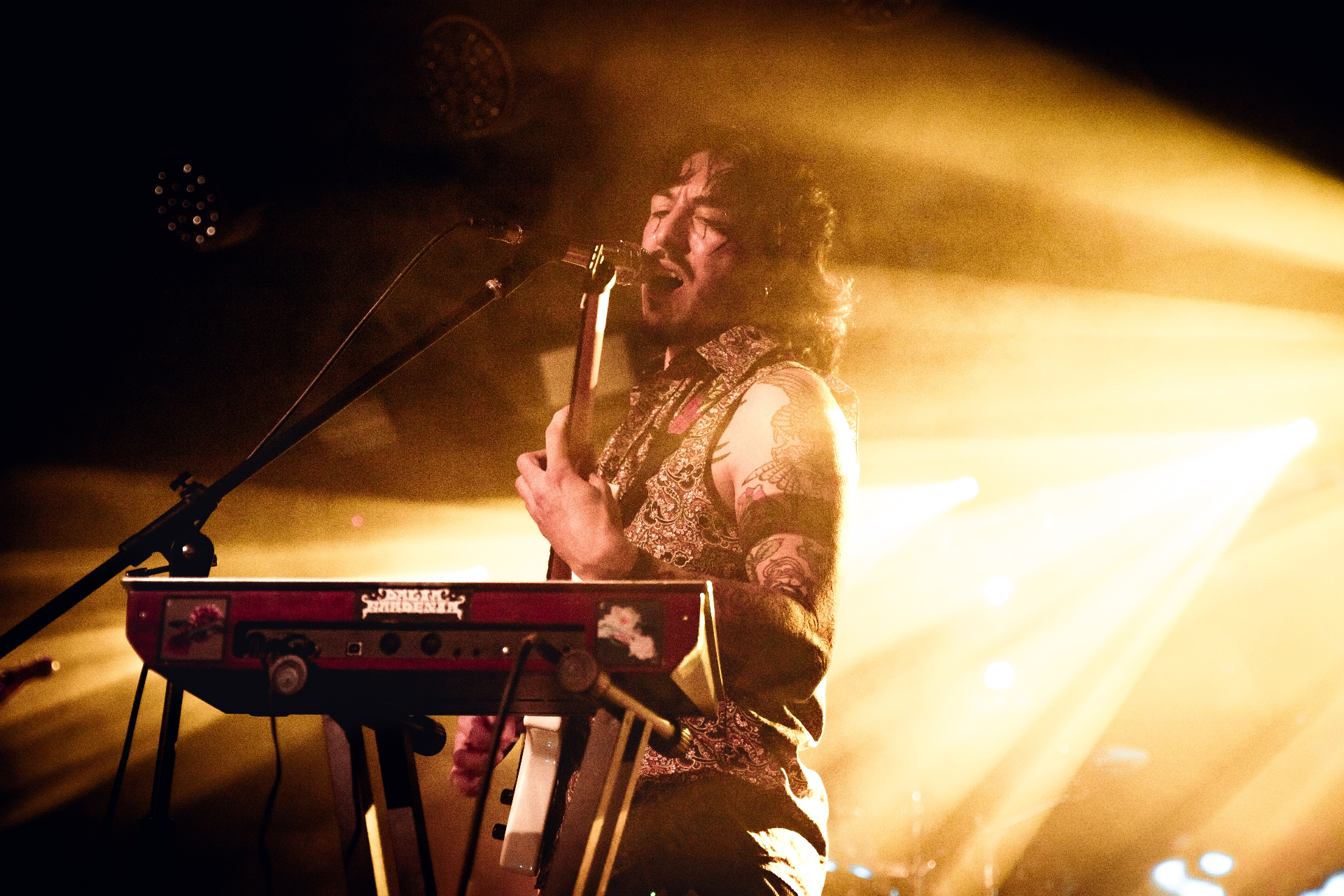 Singer with bass under amber lights
